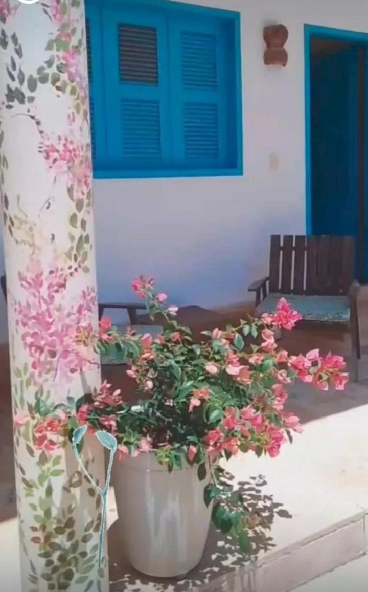 Recidencial Vila Pura Vida カノア・ケブラーダ エクステリア 写真